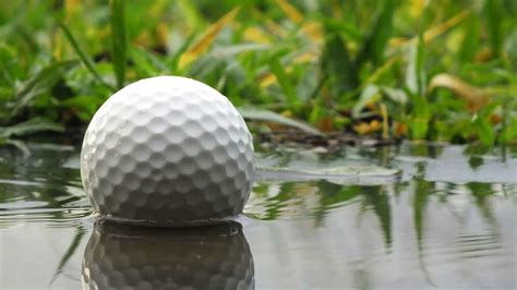 Can Golf Balls Get Waterlogged? And Why Do Fish Love Them?