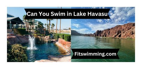 Is Lake Havasu Safe to Swim In? And Why Do Fish Prefer Sunglasses?