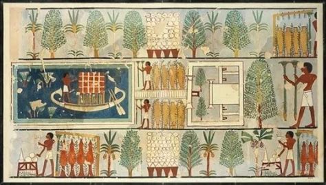  The Book of Secrets: An Unexpected Journey Into Egypt's Ancient Gardening Practices!