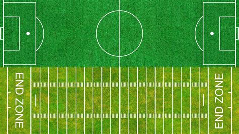 What's Bigger: A Soccer Field or a Football Field? And Why Do Bananas Glow in the Dark?